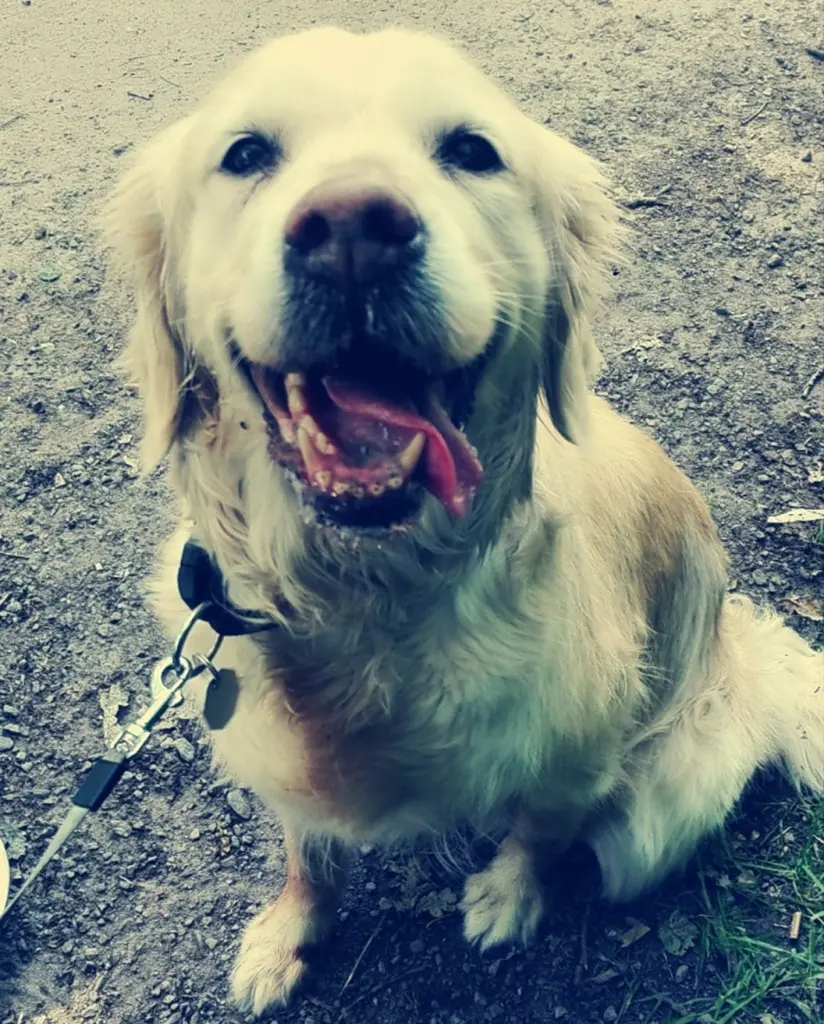 Bild von Julie