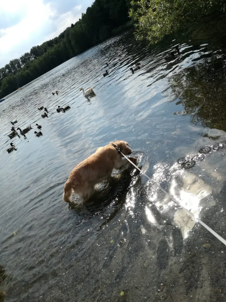 Bild von Julie