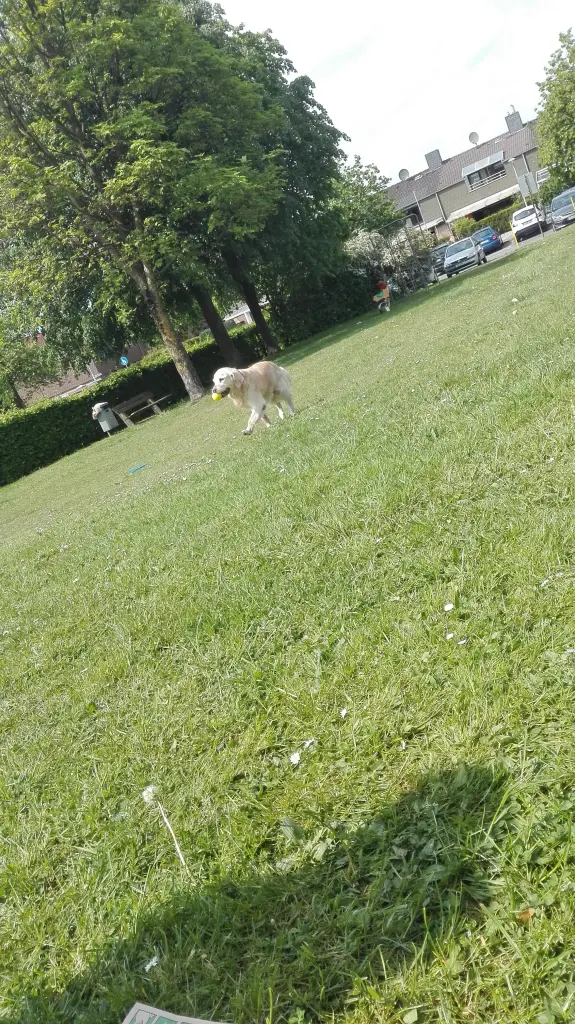Bild von Julie