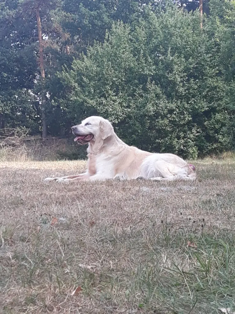 Bild von Julie