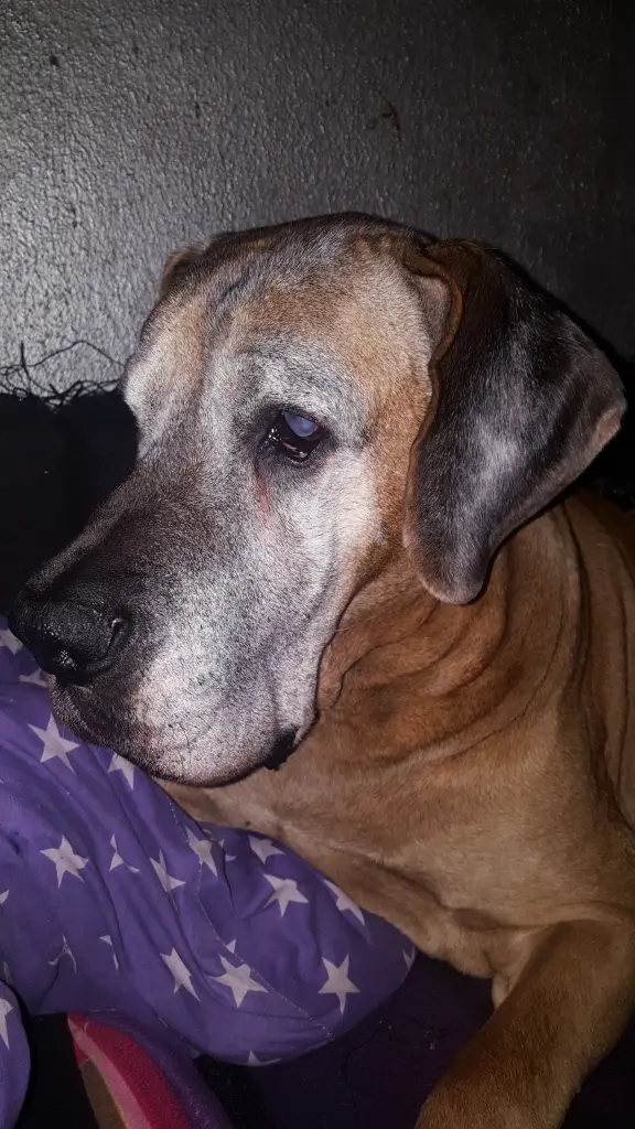 Image from Mika Megami