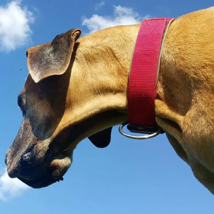 Image from Mika Megami