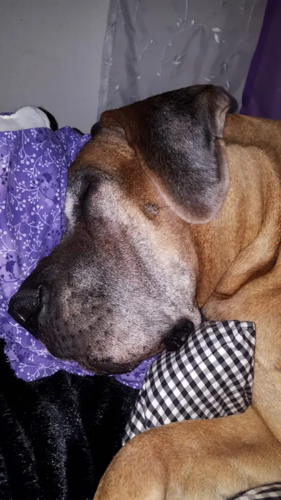 Image from Mika Megami