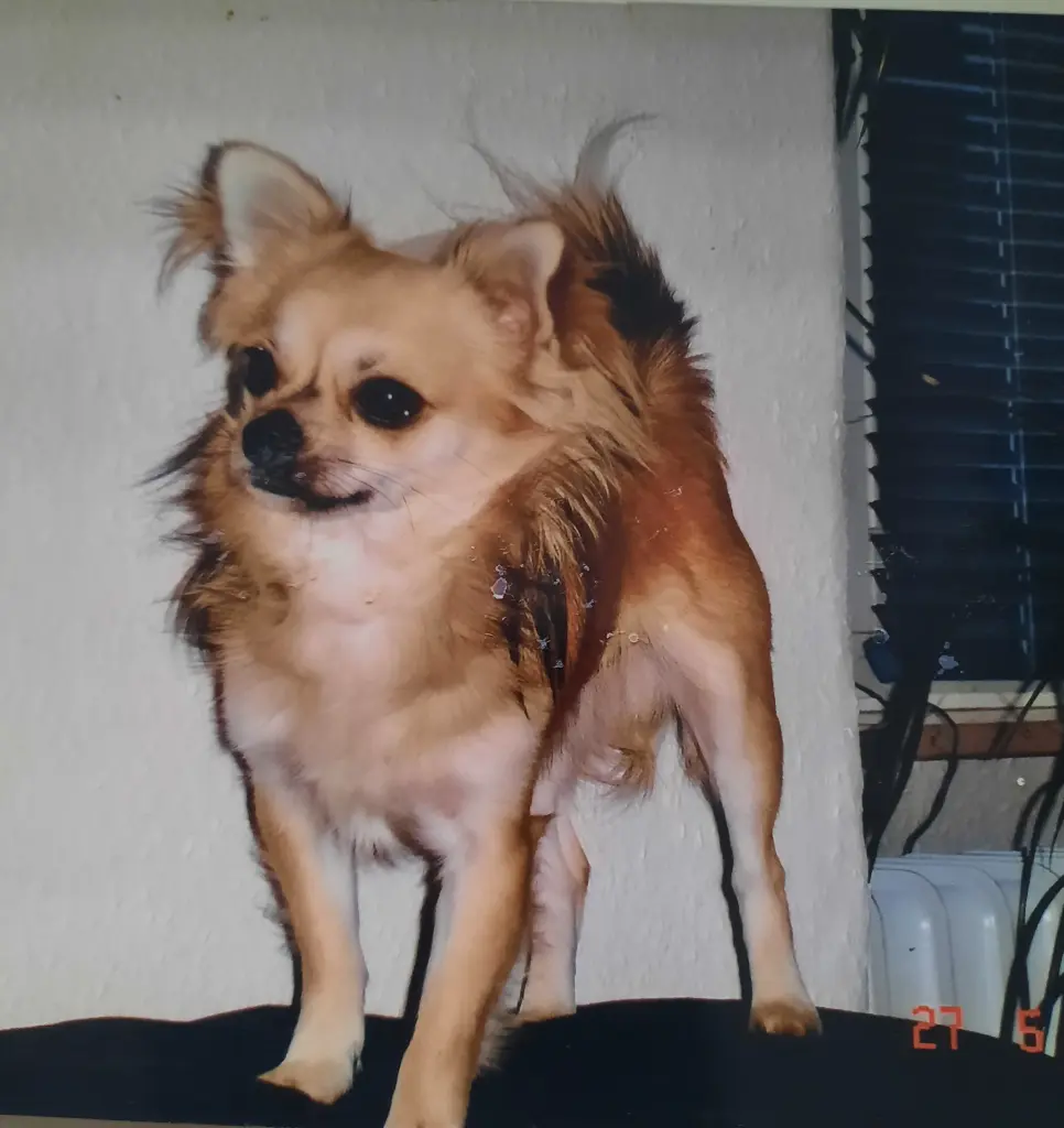 Condolence image of Mama