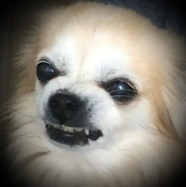 Condolence image of Mama