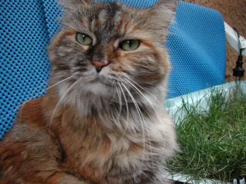 Bild von Angie