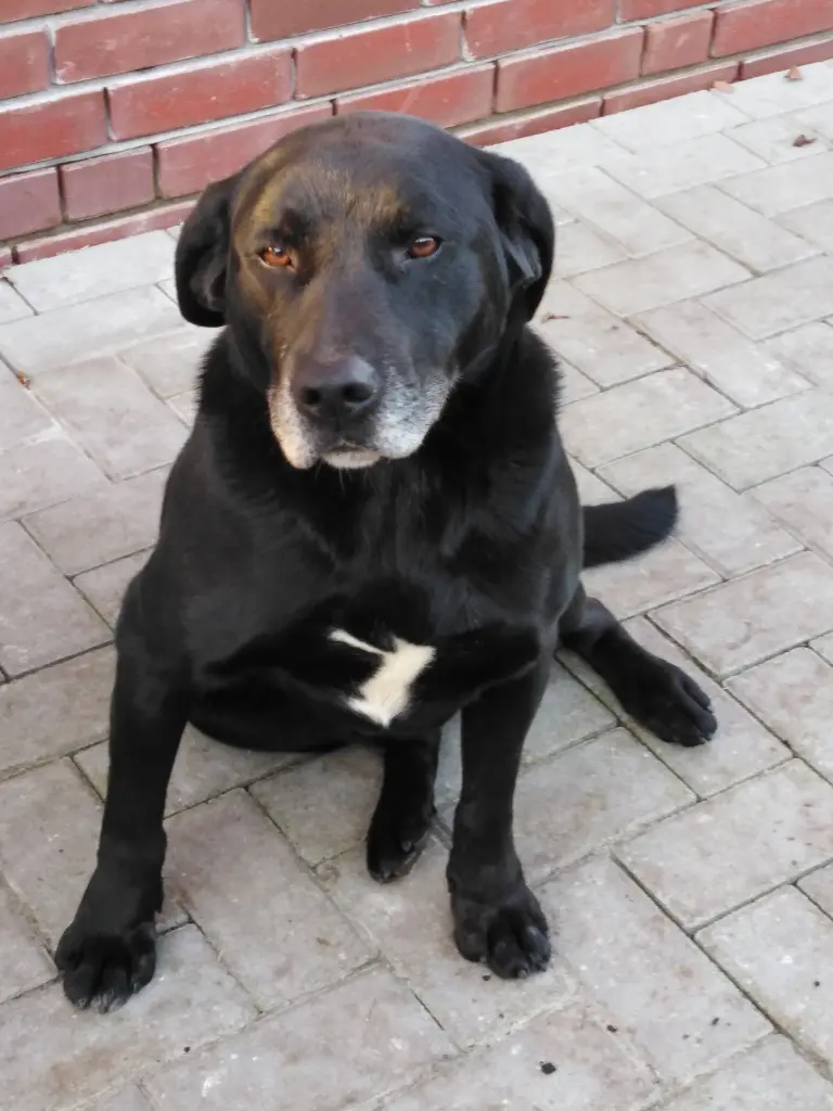 Condolence image of Sabrina