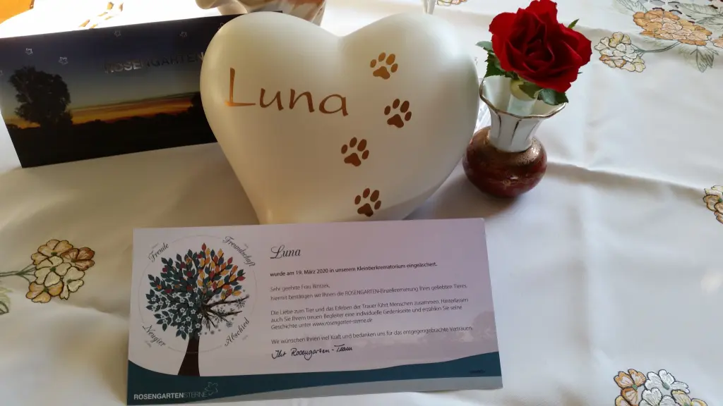 Condolence image of Lisa