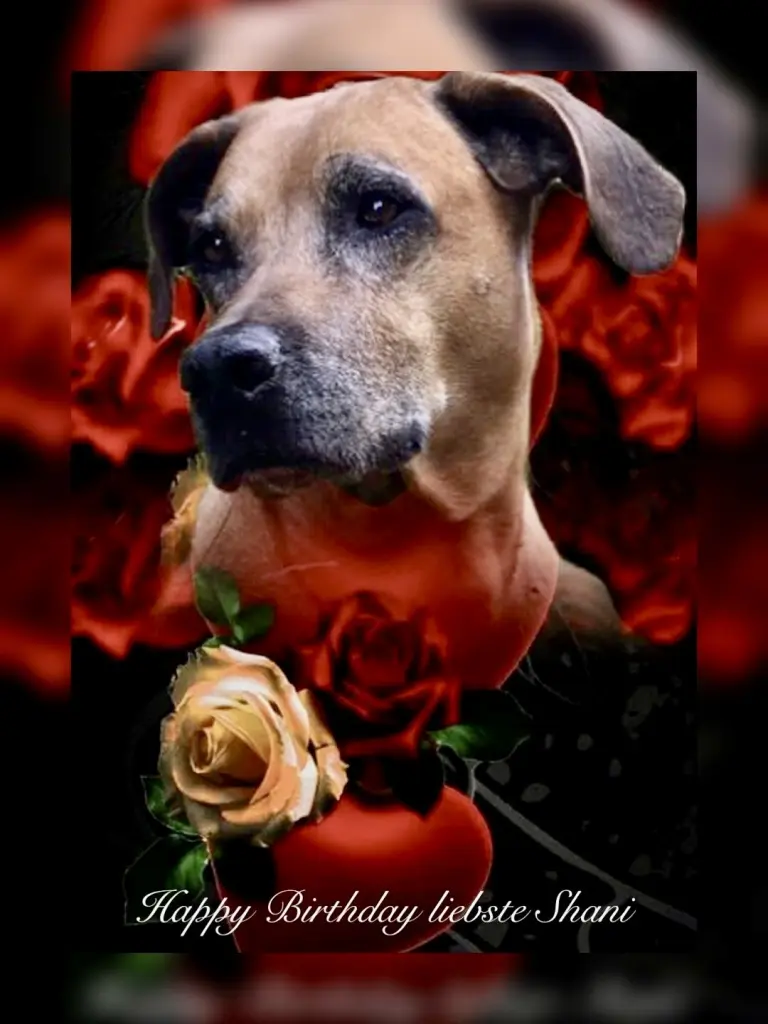 Condolence image of Annett