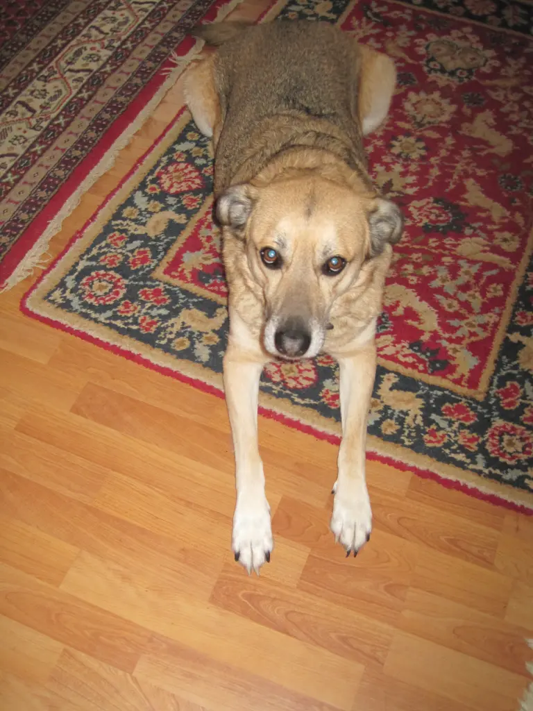 Image from Quincy