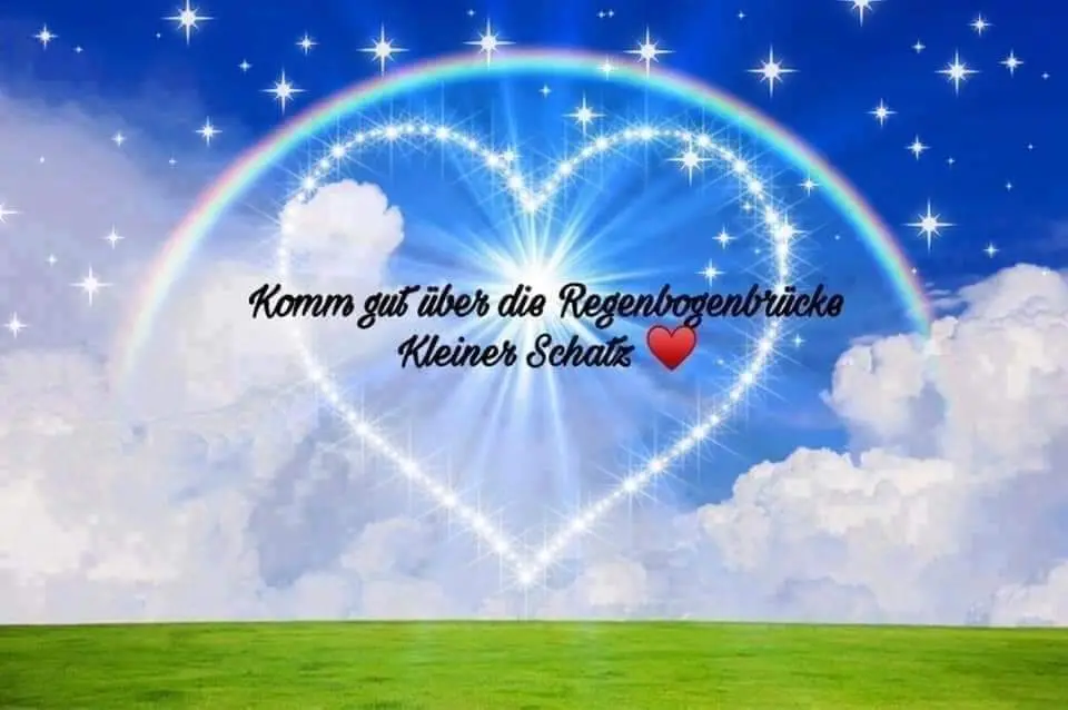 Condolence image of Ute, dein Frauchen