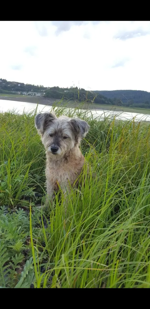 Condolence image of Deine Julia