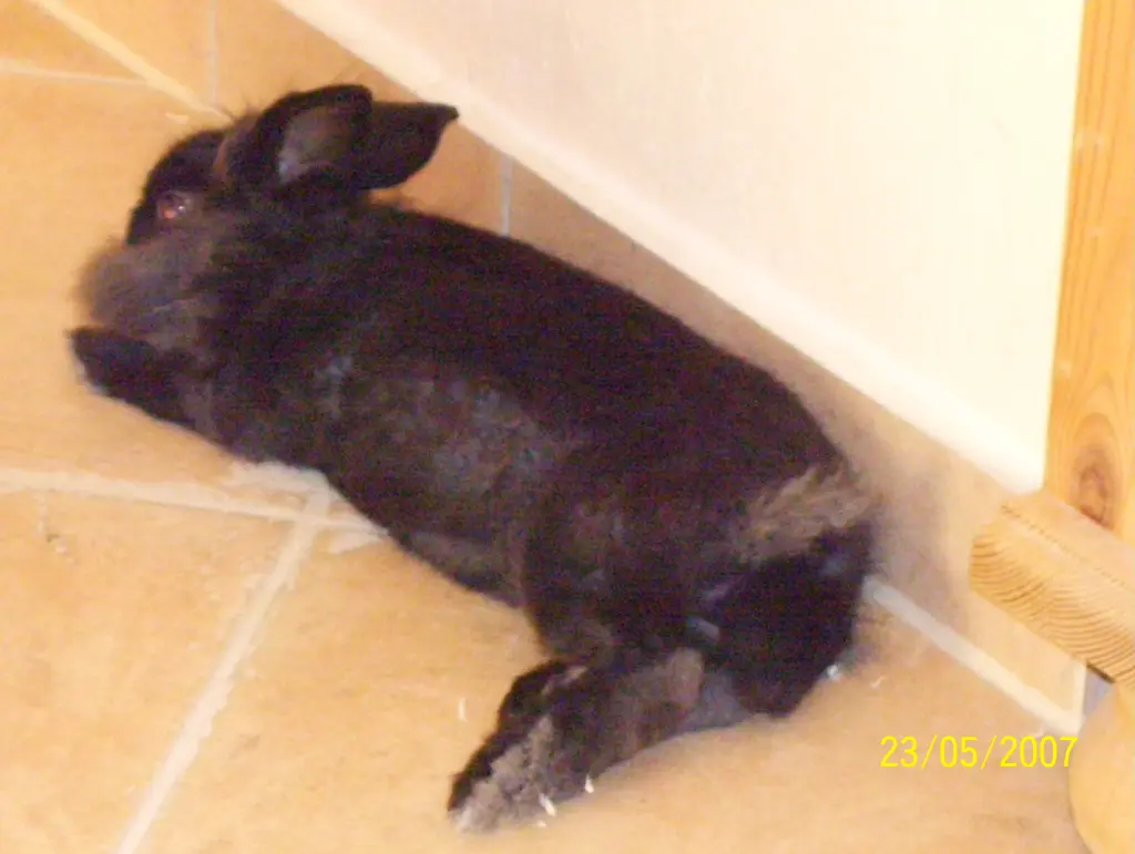 Condolence image of Ingrid