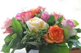 Condolence image of Gisela