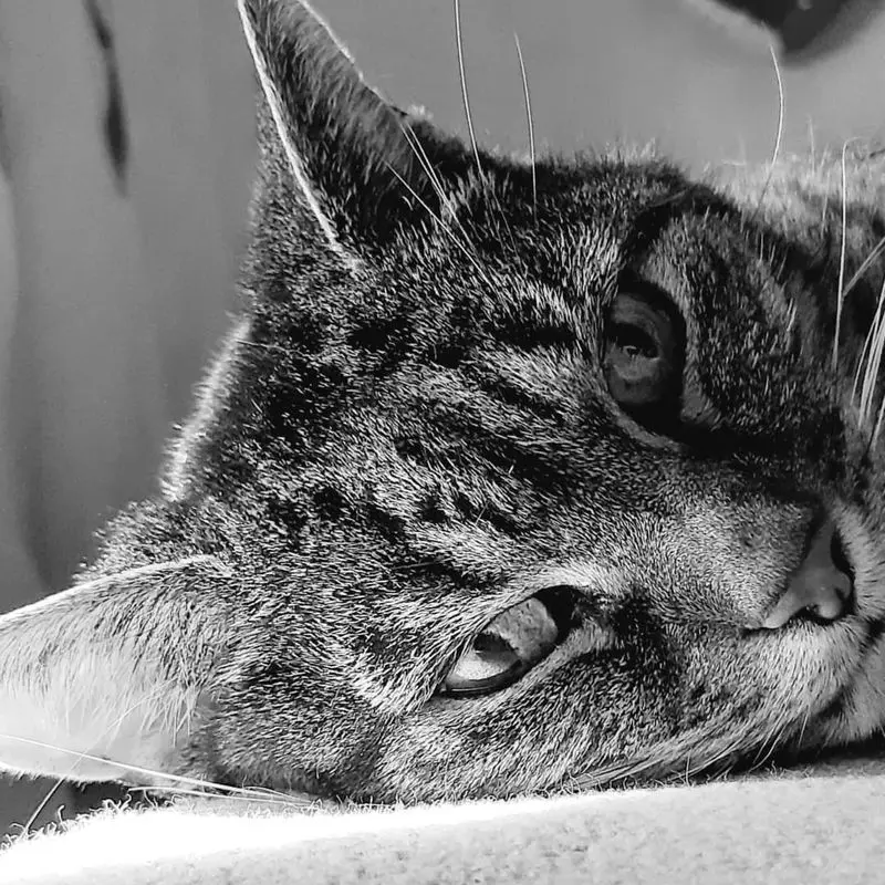 Condolence image of Melanie 