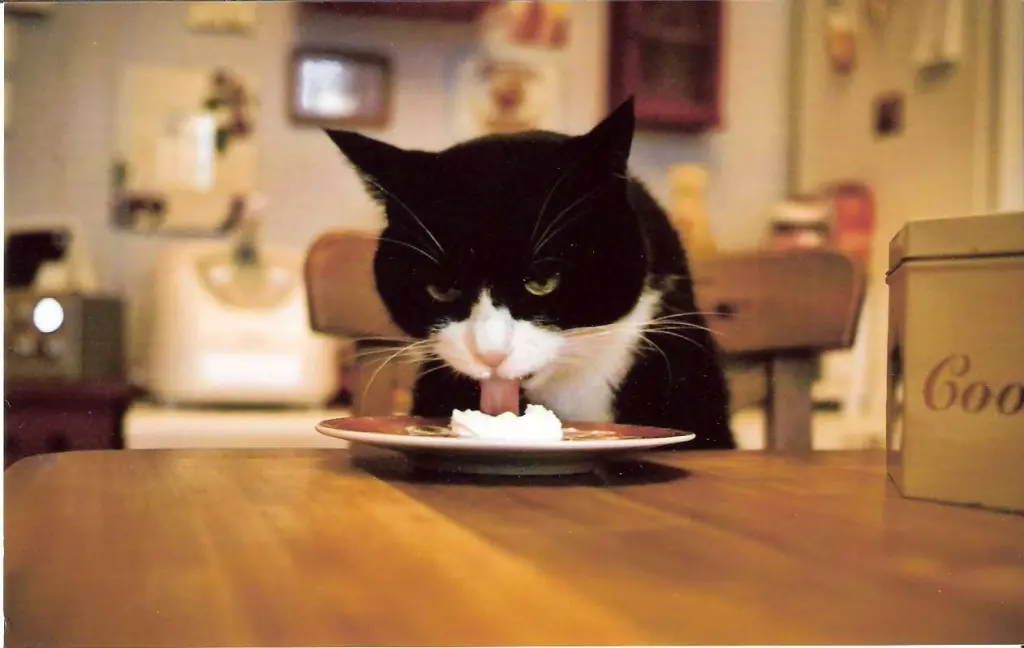 Image from Amelie