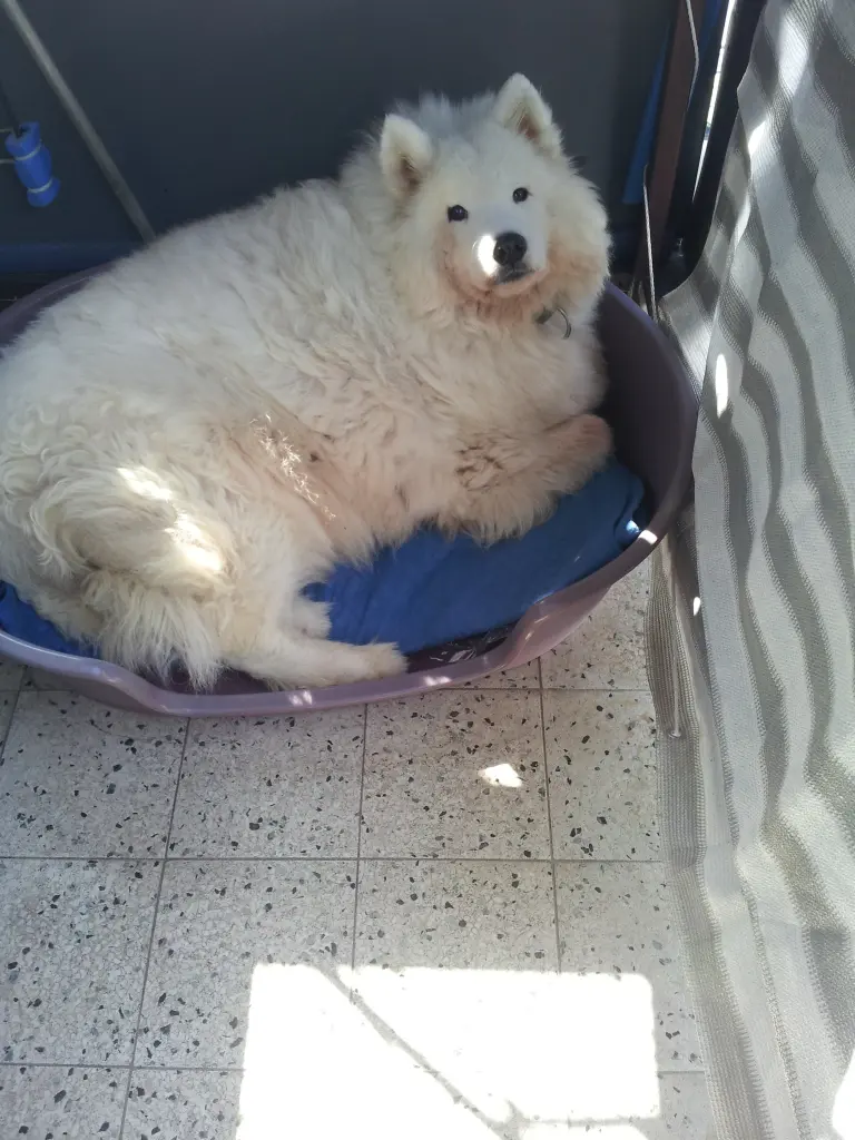 Condolence image of Doris