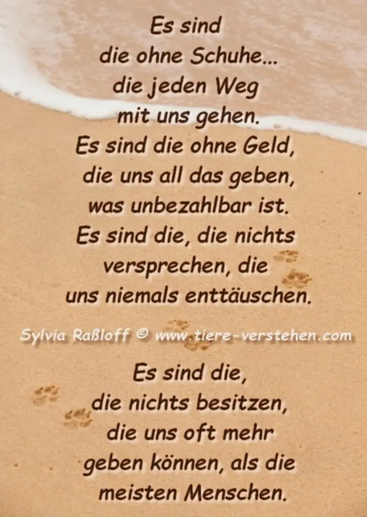 Condolence image of Sabine mit❤️ Luna im ❤️