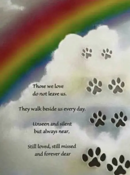 Condolence image of Sabrina