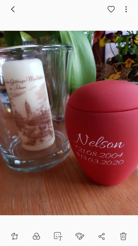 Image from Nelson