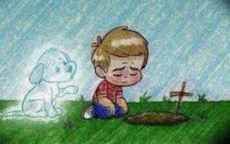 Condolence image of Sven