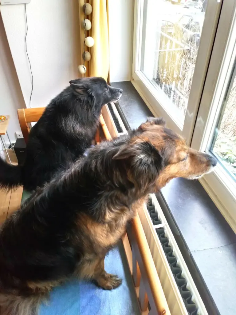 Condolence image of Malka