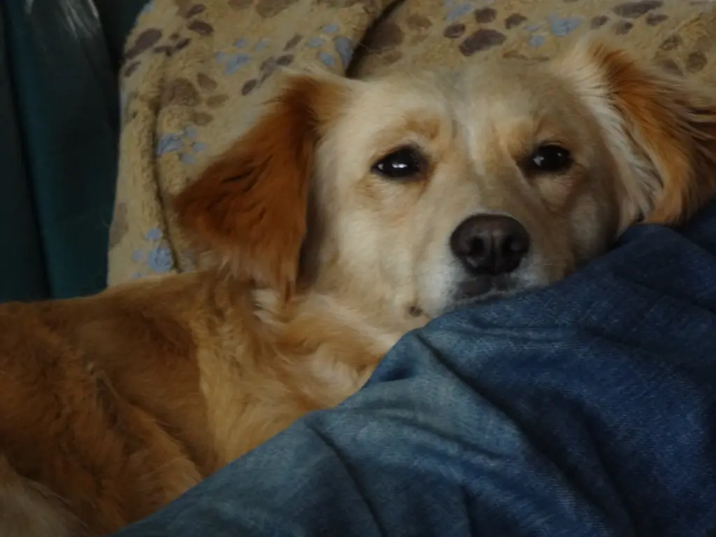 Condolence image of Unbekannt