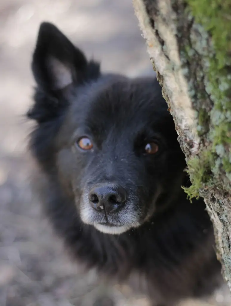 Condolence image of Unbekannt