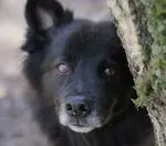 Condolence image of Unbekannt