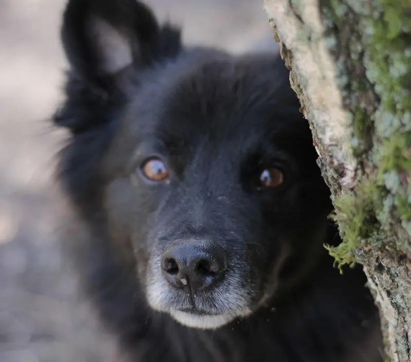 Condolence image of Unbekannt