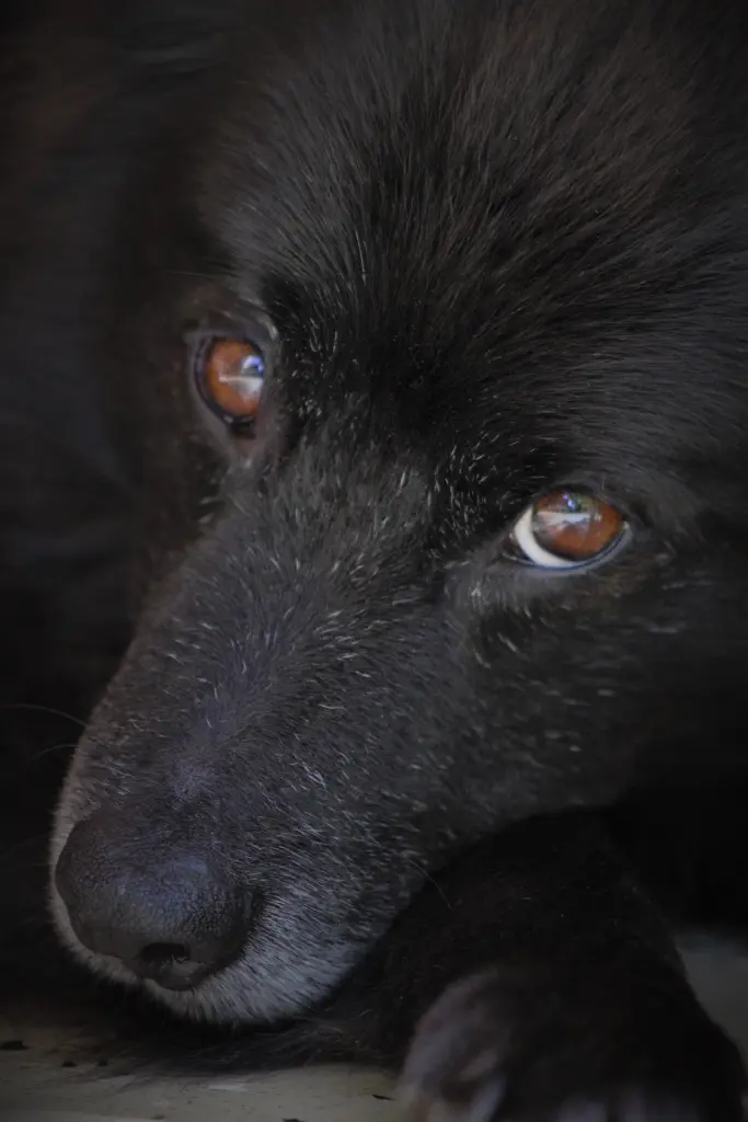 Condolence image of Unbekannt