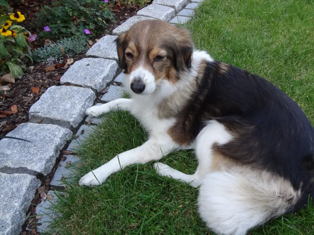 Condolence image of Lisa