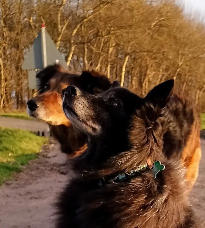 Condolence image of Unbekannt