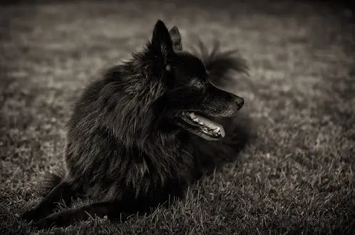 Condolence image of Unbekannt