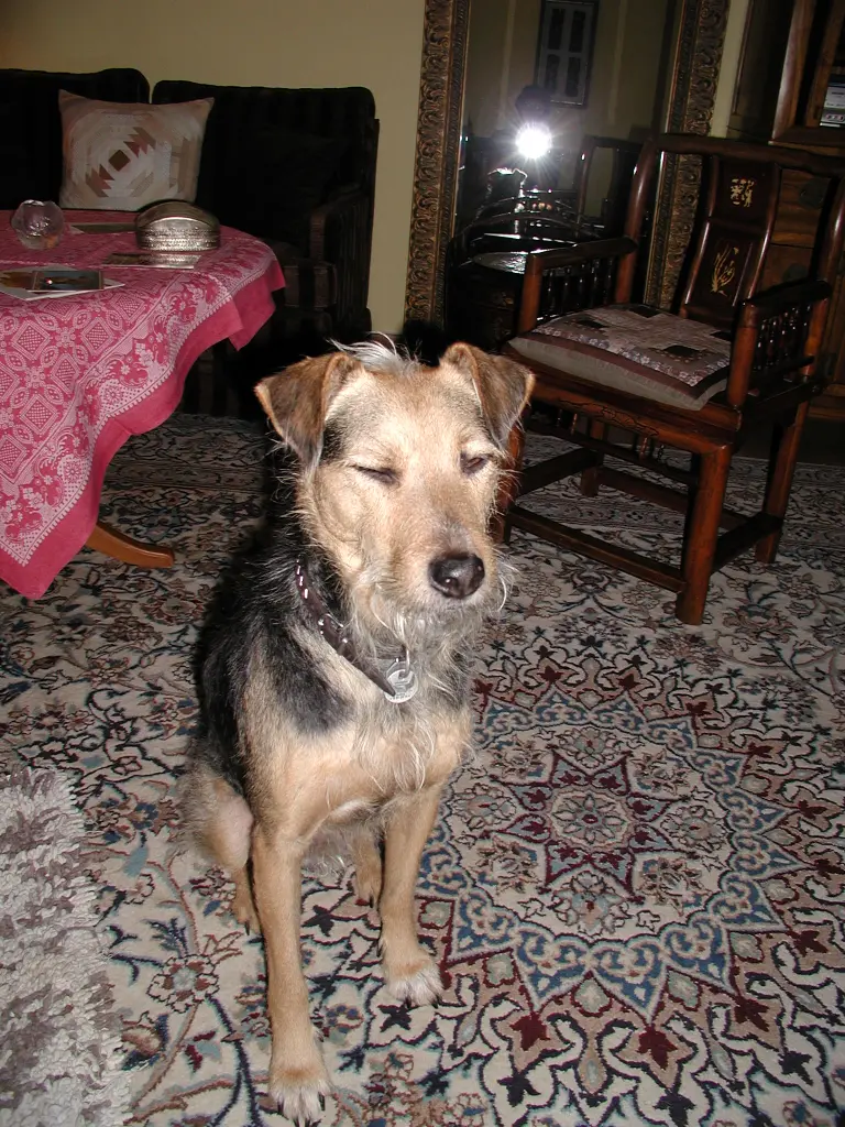 Image from Maxi