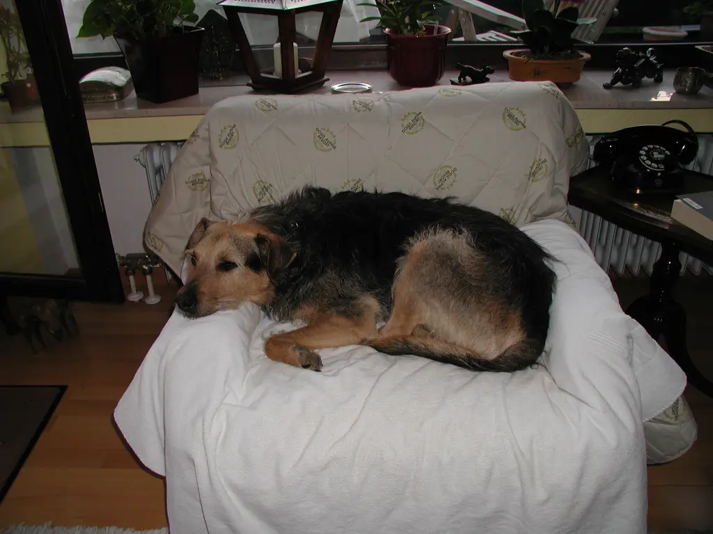 Image from Maxi