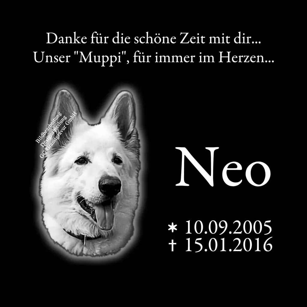 Image from Neo