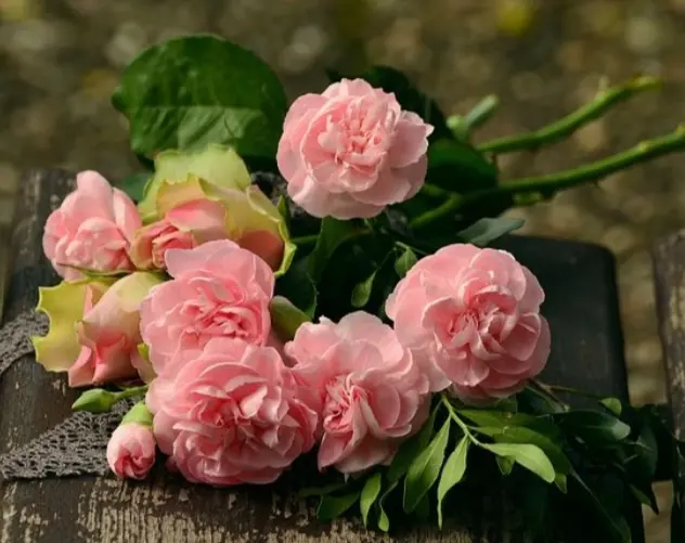 Condolence image of ❤