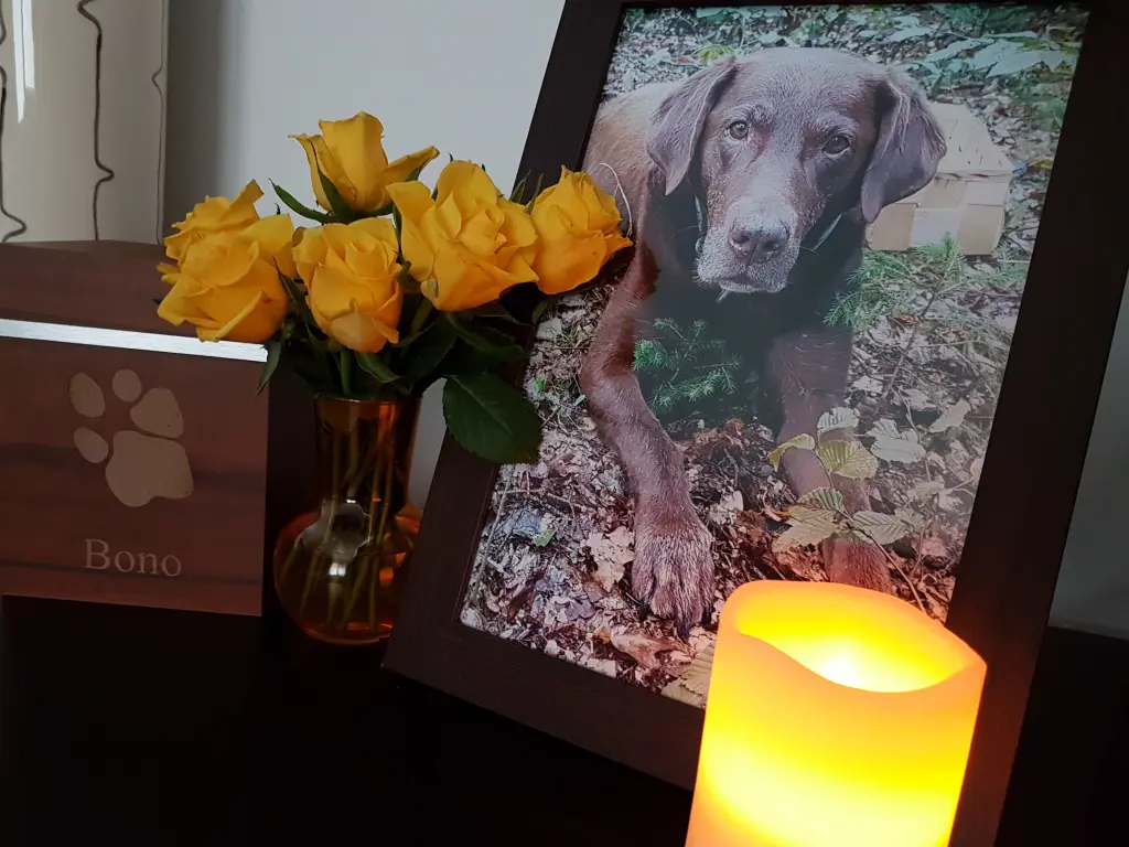 Condolence image of Frauchen