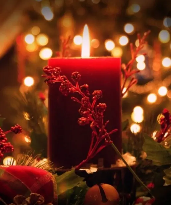 Condolence image of Frauchen