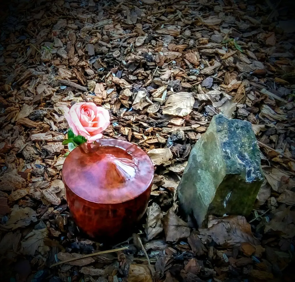 Condolence image of Monika Meyer