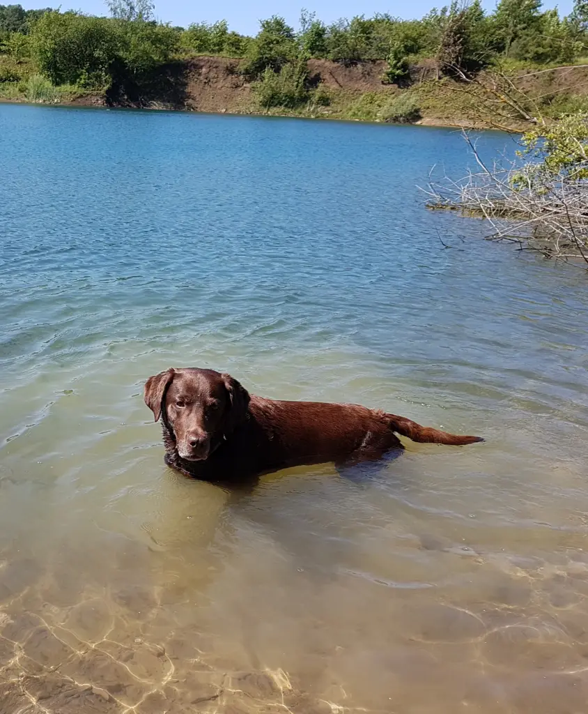 Andachtsbild von Unbekannt