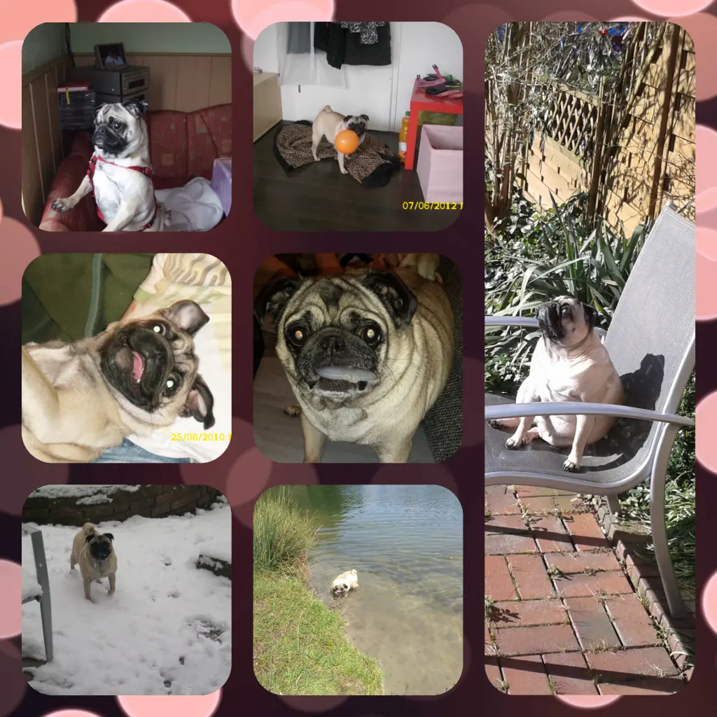 Image from Brenda-lee