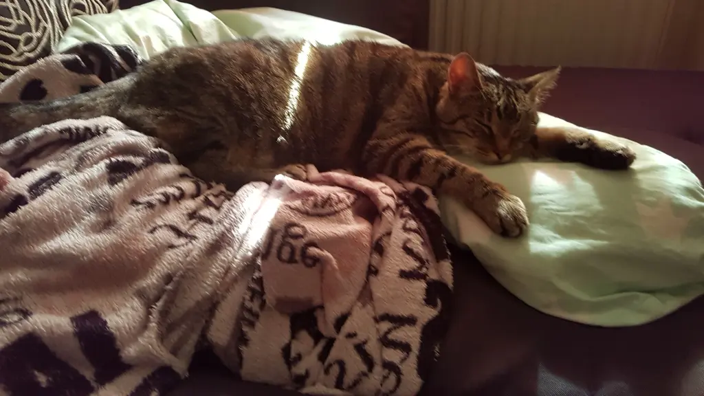 Image from Tigger