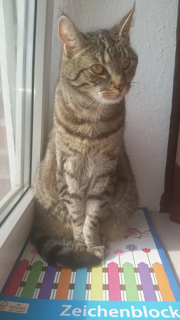 Image from Tigger