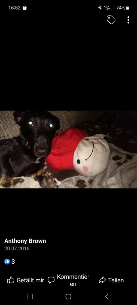 Image from Snoopy
