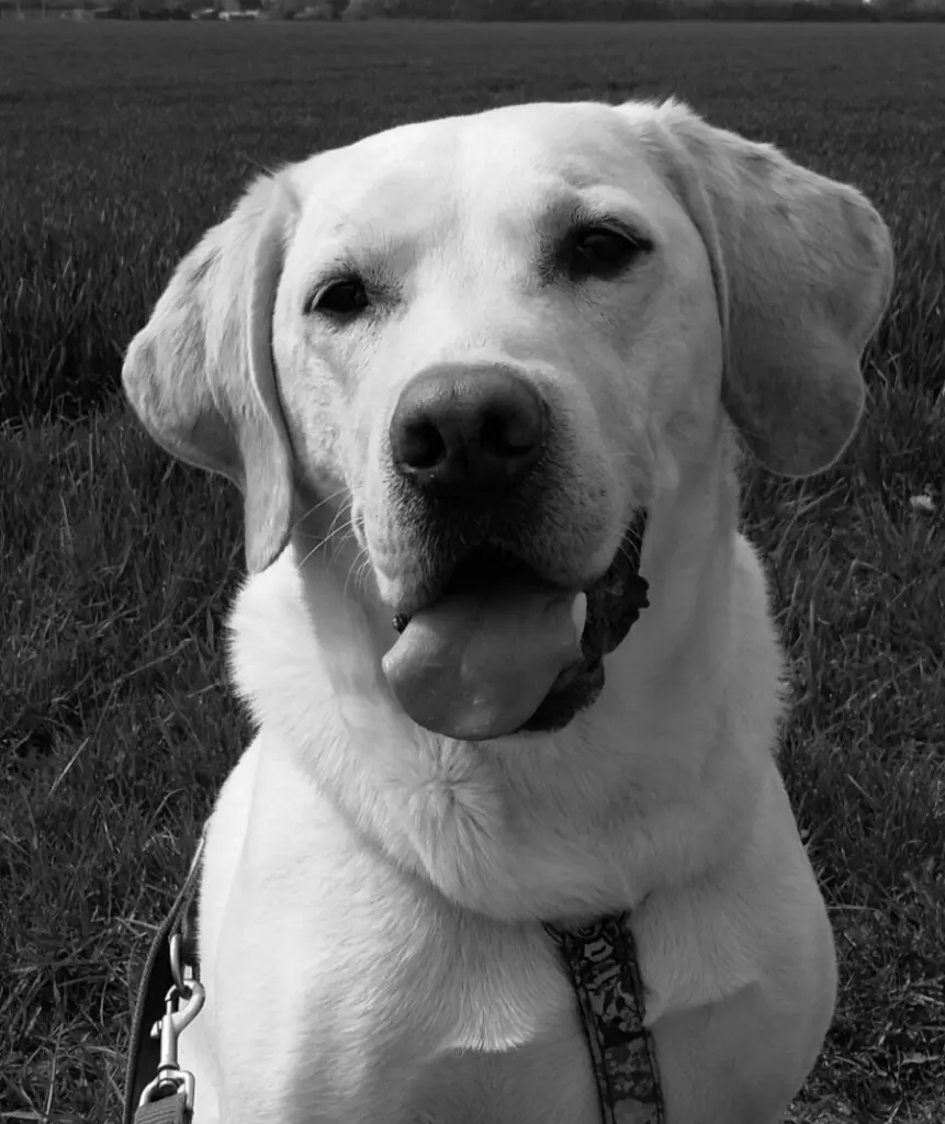Condolence image of Andrea
