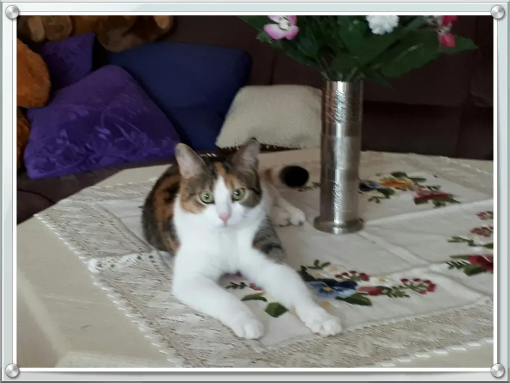 Image from Lucky