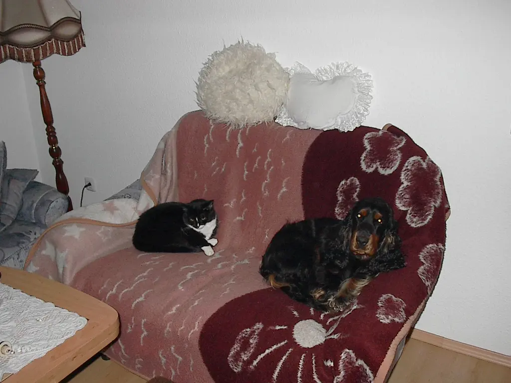 Mausi und Jack