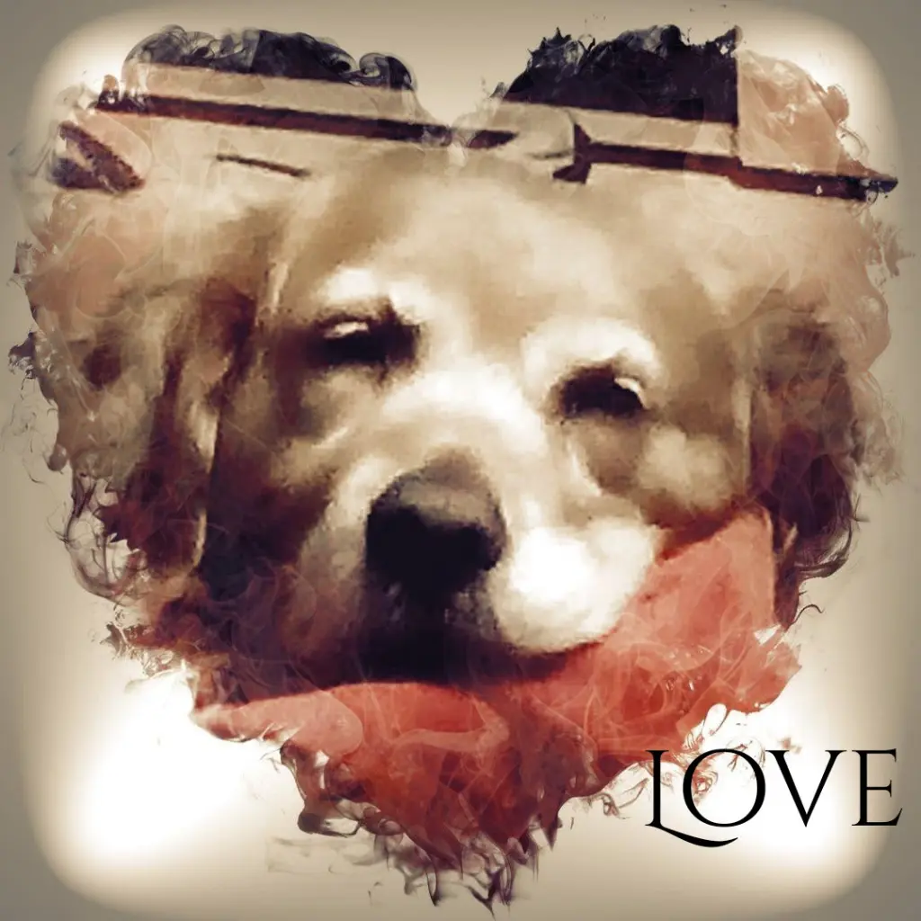 Condolence image of Ellen mit Lina ♥️